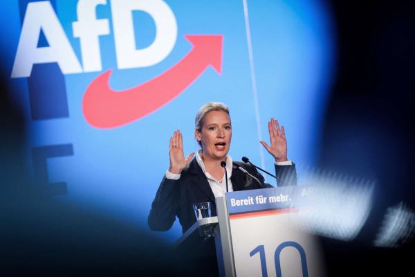 德国极右翼政党另类选择党(AfD)领导人正在考虑大规模驱逐外国血统的德国人