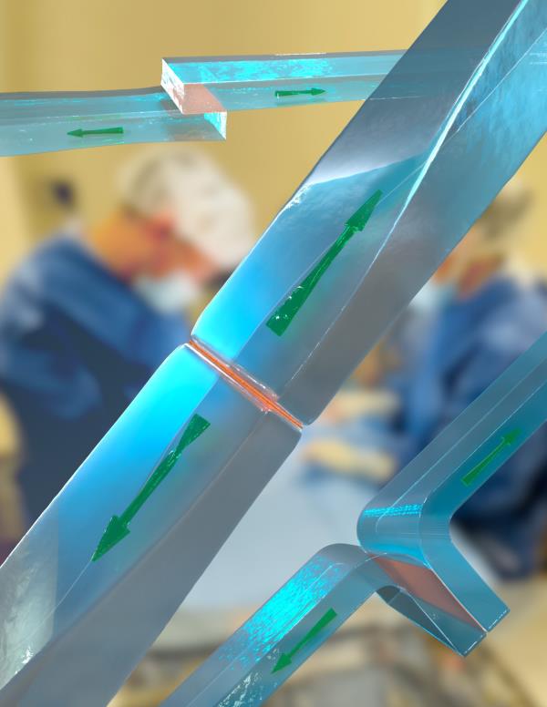 哈佛开发的水凝胶键合方法为新的生物材料解决方案铺平了道路