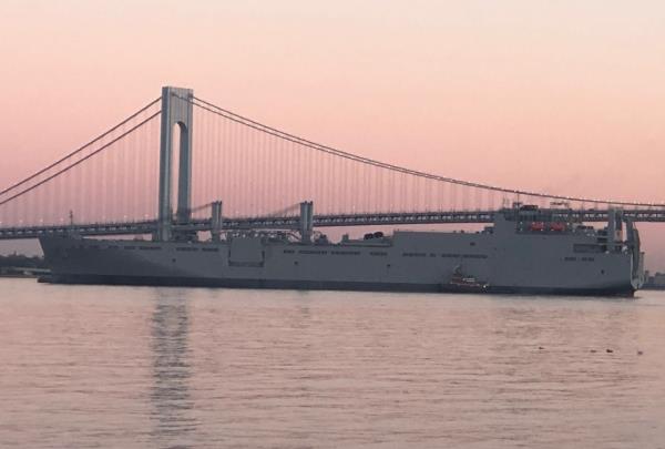 这可不是每天都能看到的：美国海军军舰出现在斯塔顿岛附近海域