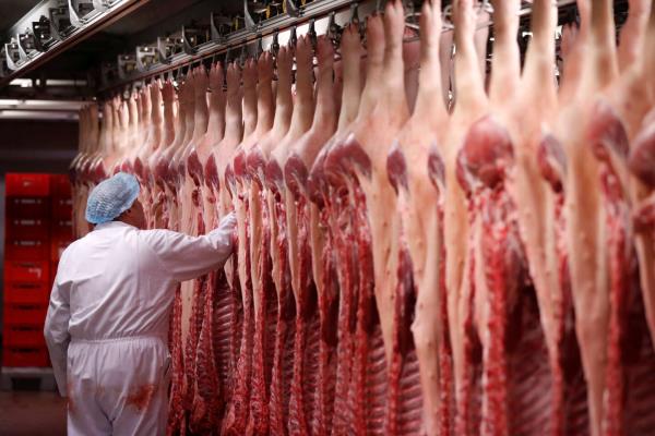 比利时将动物福利写入宪法