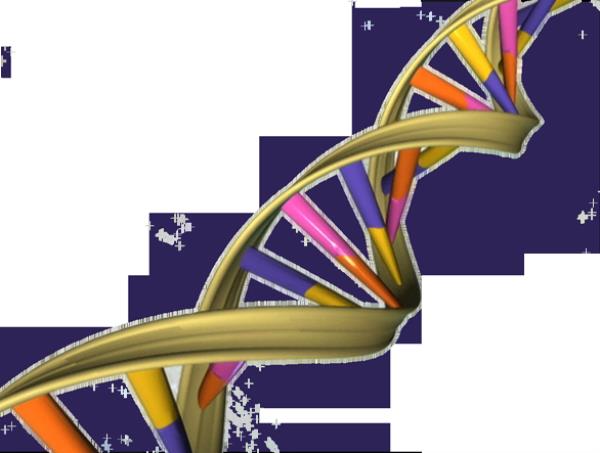 DNA修复的发现为癌症治疗的新方法带来希望