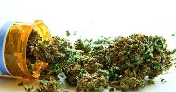 一些病人用医用大麻代替阿片类药物来治疗疼痛