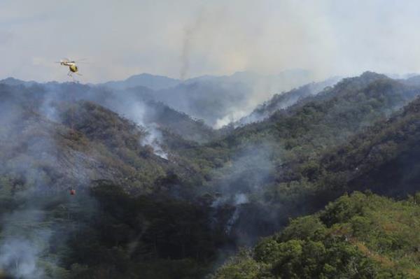 夏威夷又发生了一场野火它正在破坏瓦胡岛无可替代的雨林