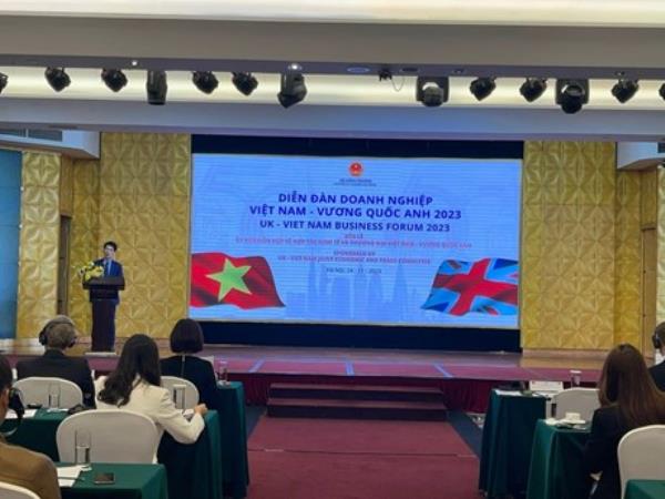 2023年越英商业论坛探讨能源和贸易机会