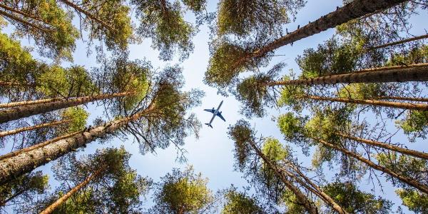 未来，限制我们旅行次数的“碳护照”会成为现实吗？