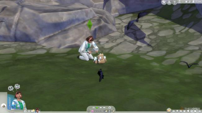 Mining a rock for me<em></em>tal or crystal.