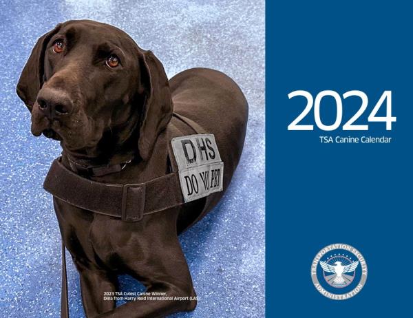 A local TSA bomb sniffing dog named Gina who works at LaGuardia Airport was featured in the agencyas 2024 Canine Calendar</p>

<p>　　