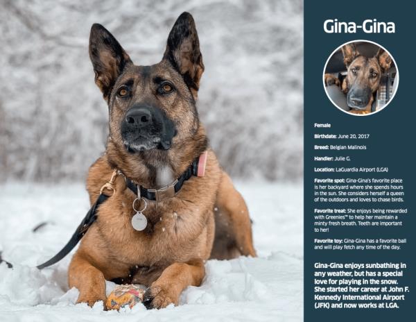 Among the featured dogs is Gina-Gina, who works long, ruff days at LaGuardia Airport (LGA).