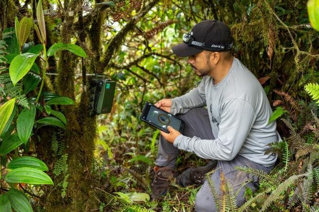 Petrel-mo<em></em>nitoring in the Galapagos. Photo credit: James Muchmore