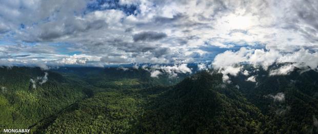 Narupa Reserve. Photo credit: Rhett Ayers Butler