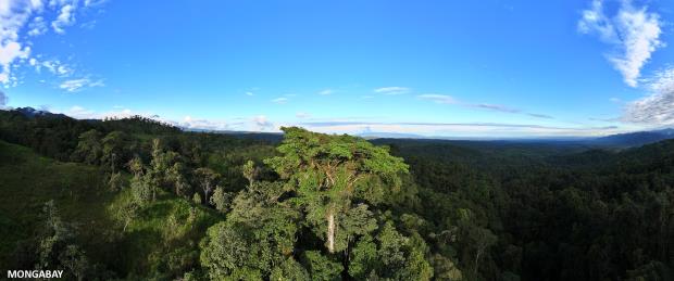 Narupa Reserve. Photo credit: Rhett Ayers Butler