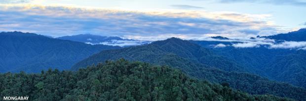 Narupa Reserve. Photo credit: Rhett Ayers Butler