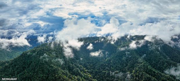 Narupa Reserve. Photo credit: Rhett Ayers Butler