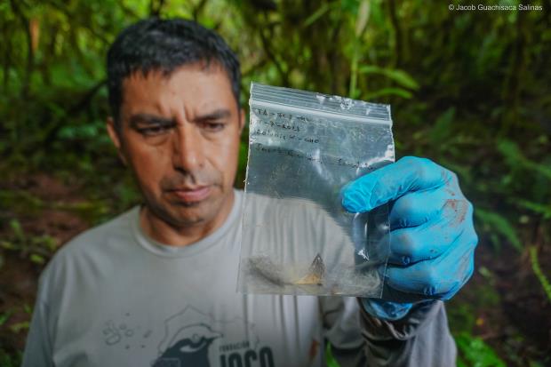 Collecting data in the field in the Galapagos. Photo credit: Jocotoco