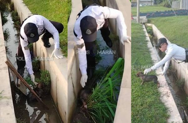 马兰交警从下水道里救出小狗后走红网络