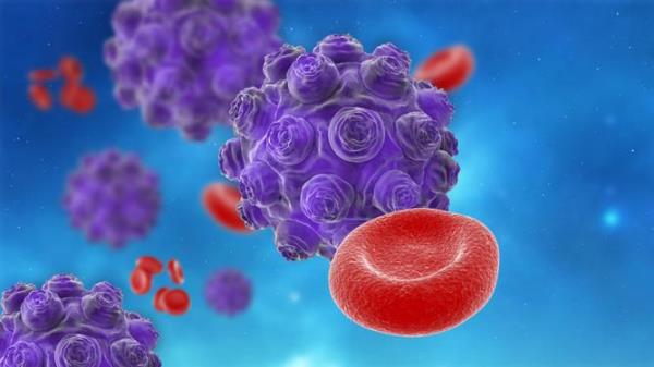 The health scare has prom<em></em>pted a warning for people to check for symptoms and make sure they are up to date on their MMR vaccinations. Pictured is a 3D object of measles viruses in abstract plasma with blood cells. Supplied