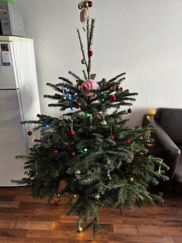 The Zinchenkos' Christmas tree.