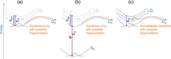 金刚烷阳离子的计算研究：光谱、碎片动力学和内部转化的模拟