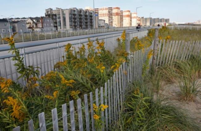 Five years after Superstorm Sandy, dune plantings border a broad co<em></em>ncrete boardwalk separating residential buildings, left, from the beach in Rockaway Beach in the Queens borough of New York on 12 October 2017.