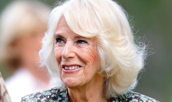 卡米拉女王与她在电视游戏节目中赢得100万英镑奖金的表妹惊人地相似
