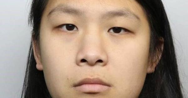 受Netflix节目启发，猫杀手在变态性幻想中谋杀了一名男子，被判终身监禁