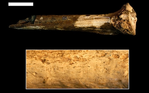 Ancient human remains cannibalism claims science prehistoric fossils