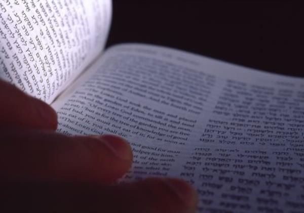 picture of someone going through the Torah for facts a<em></em>bout Hanukkah