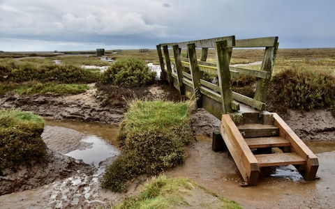Wooden bridges leading over the Stiffkey Marshes