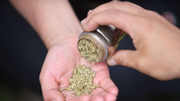 华盛顿州立大学领导的研究：大多数使用大麻来获得良好睡眠的人不再使用助眠剂