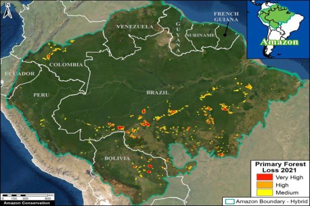 A map of Amazo<em></em>nian deforestation.