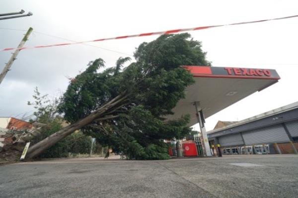 A tree fallen o<em></em>nto the roof of a Texaco petrol station in Derby a during Storm Pia, which is expected to cause disruption in parts of Scotland, the north of England and Northern Ireland. Picture date: Thursday December 21, 2023. PA Photo. See PA story WEATHER Wind. Photo credit should read: Jacob King/PA Wire