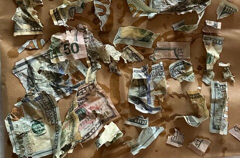 After washing the bills several times, the couple had to match up the pieces via the serial numbers and tape them together.
