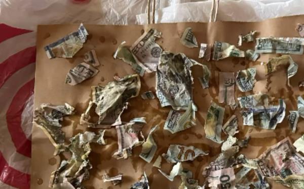 狗狗享用了它一生中最昂贵的一餐：4000美元现金