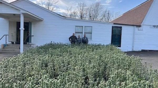 田纳西州当局说，在一座前教堂发现了“该县历史上最大的大麻种植场”