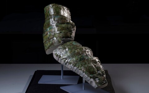 The arm guard