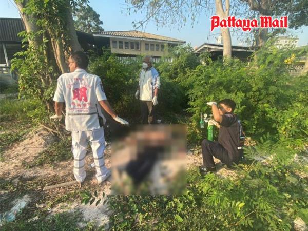 在芭堤雅的空地上发现了血迹斑斑的昏迷俄罗斯人