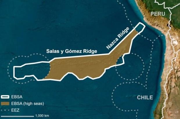 Map shows the outline of a marine protected area proposed by Chile at last week's SPRFMO co<em></em>nference in Manta, Ecuador. Underwater mountain ranges in the area make it rich in biodiversity. Last week, SPRFMO delegations asked the Scientific Committee to study the possibility of closing fishing in the area. Image courtesy of SPRFMO. 