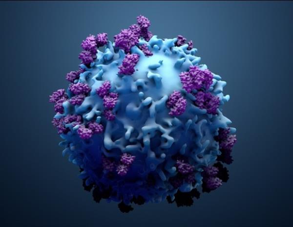 这项研究对老年人的T细胞免疫有了更深入的了解