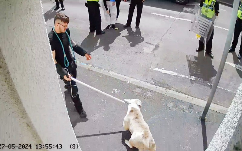 五岁的男孩被XL Bully袭击，“半个头皮被扯掉了”