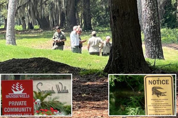 69岁的女性，在希尔顿黑德岛遛狗时被鳄鱼咬死