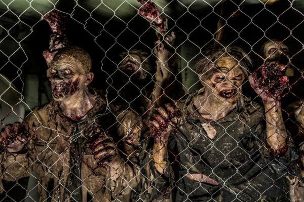 Zombies behind a fence