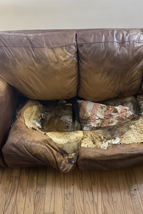 Fletcher couch