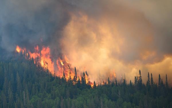 Raging wildfires in Eastern Canada have sent vast plumes of smoke across North America this summer. Enviro<em></em>nmentalists loudly suggest the smoke is proof of a changing planet, even as progressives insist their agenda is being silenced. 