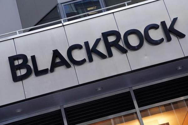 Companies such as private equity biggie BlackRock are spending billions on ESG programs, which l<em></em>ink their investment strategies with left-wing social goals. 