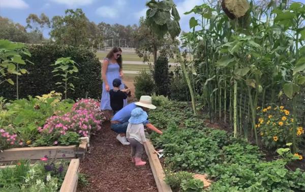 Prince Harry and Meghan Markle's Mo<em></em>ntecito home