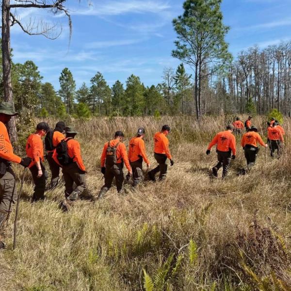 A line of officials wearing orange shirts and black bands carrying the body through a grassy area near some woods.