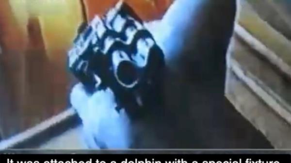 An archival footage shows underwater guns, used by Black Sea Fleet's combat dolphins