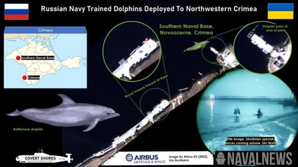 OSINT analyst H I Sutton reported a recent move by Russian Black Sea Fleet of comban dolphins from Sevastopol, south of the occupied Crimea, further north and west of the peninsula
