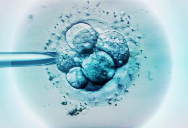 科学家在没有精子、卵子和子宫的情况下在实验室培育人类胚胎｜科技新闻