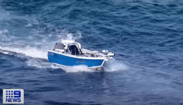 People who were on the water at the time of the incident reported spotting several of the large marine mammals.